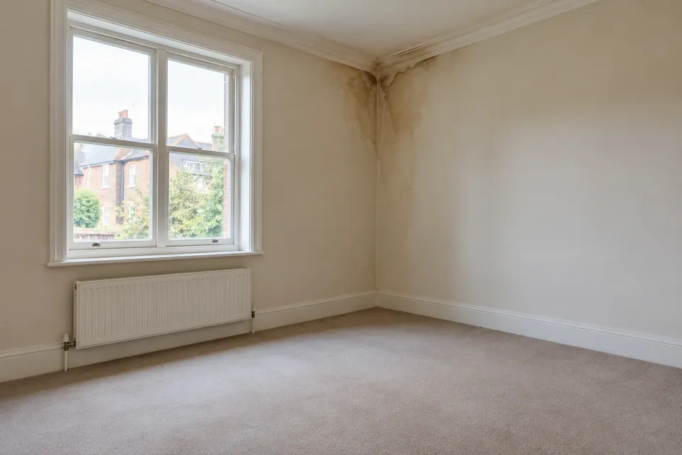 vacant room with leak staining near ceiling corner